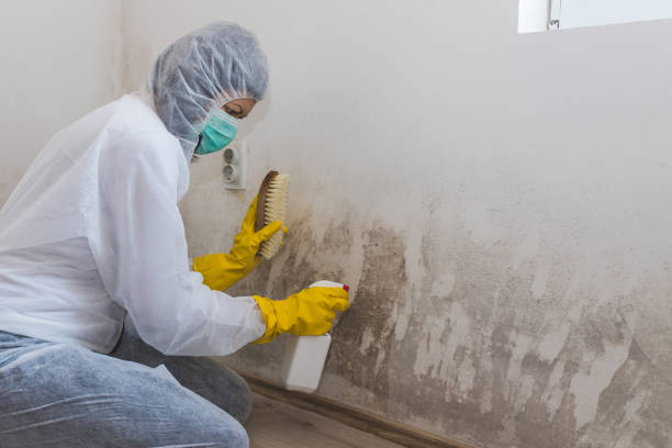 Asbestos and Lead Testing During Mold Inspection